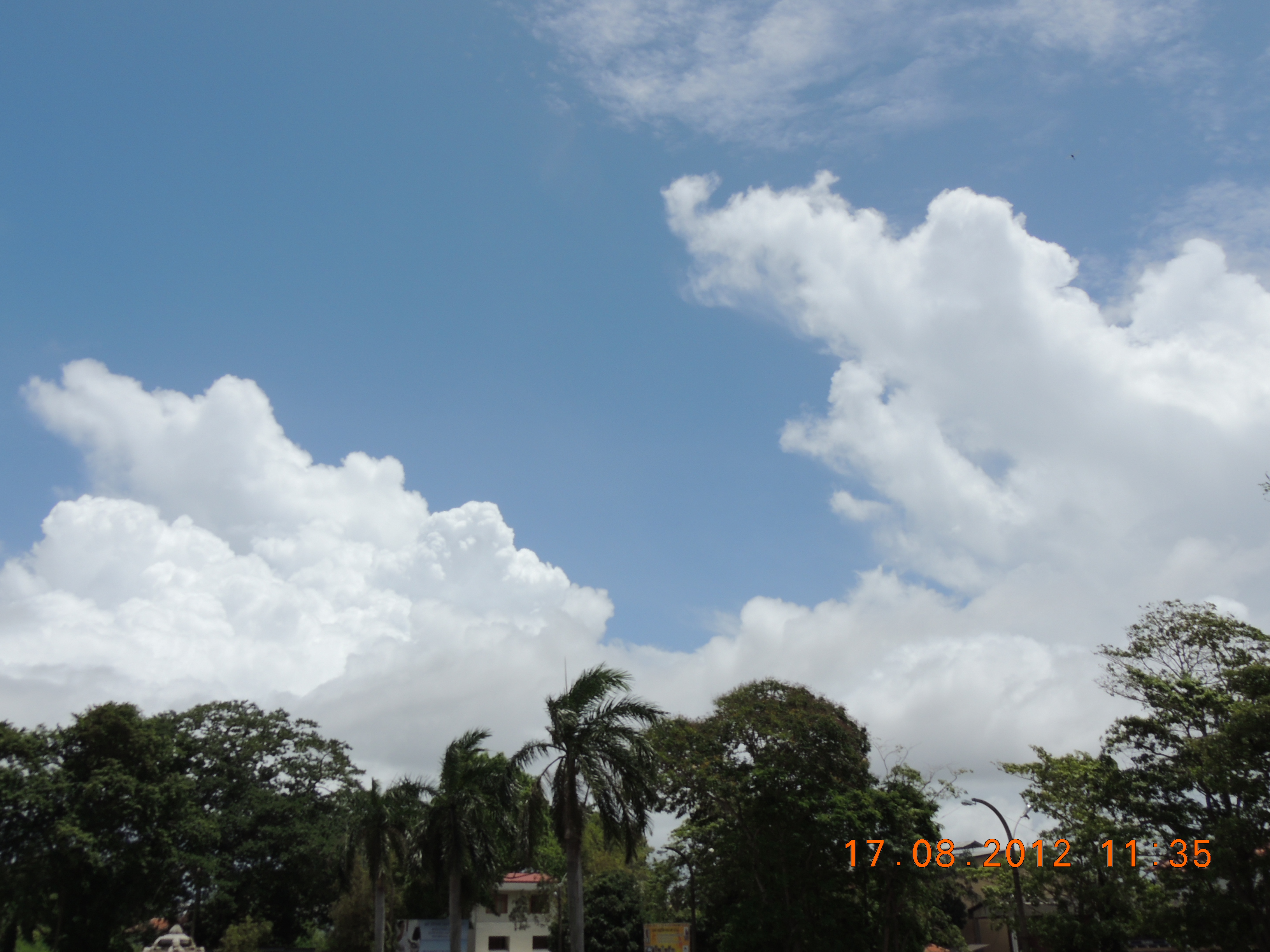 DSCN1555